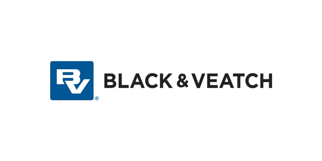 BVLogo_HORIZONTAL_CMYK