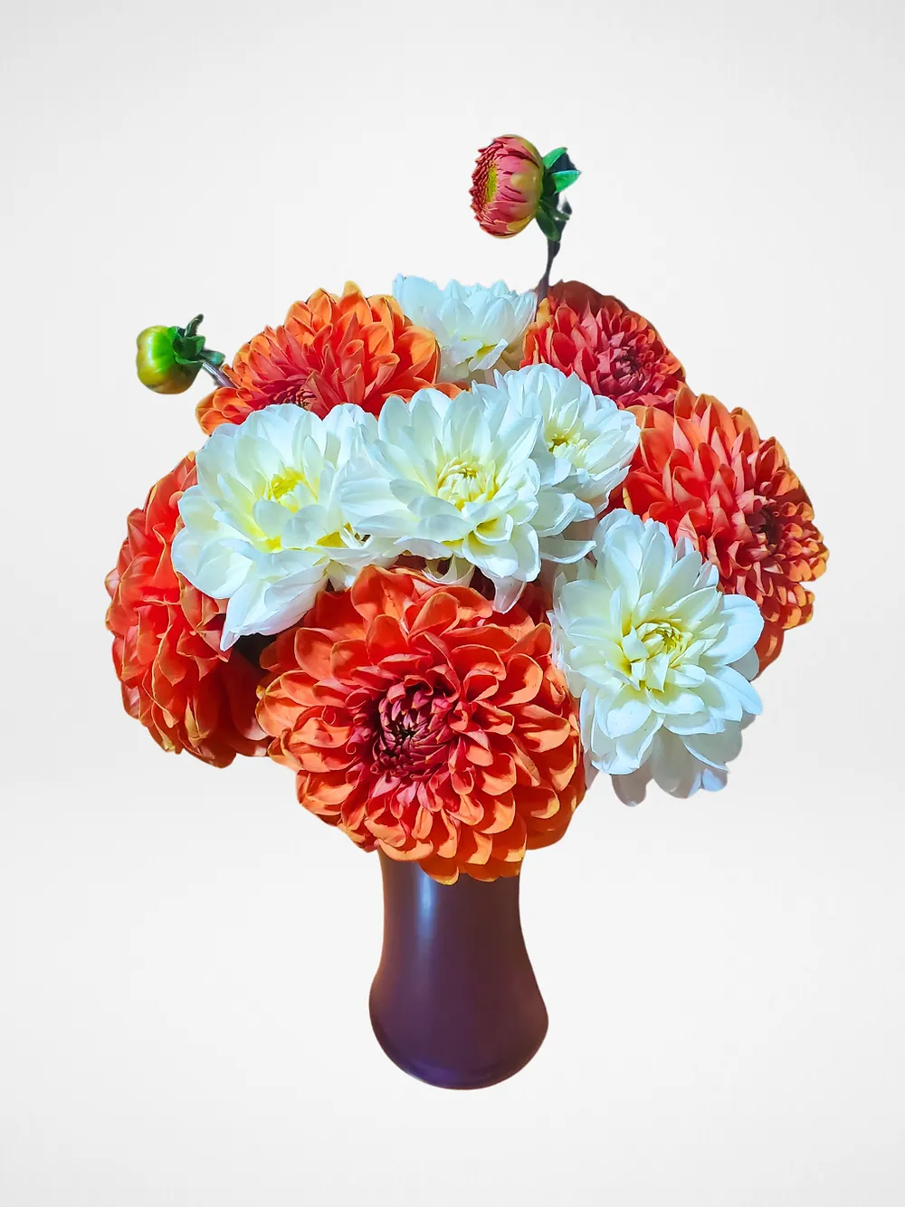Mississauga flower delivery service