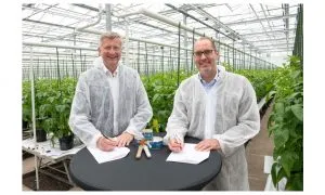 Peter Poortinga 28CEO Solynta29 And Frank Terhorst 28Bayer29