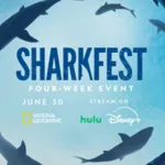 Sharkfest-1