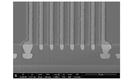 Two Layer Sample Processed By Shin Etsu