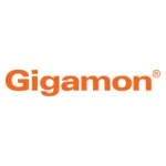 Web-Gigamon-Orange-Logo_28229-1