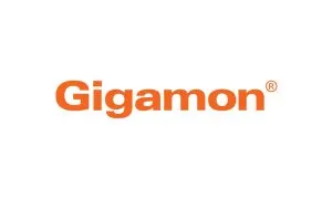Web Gigamon Orange Logo 28229