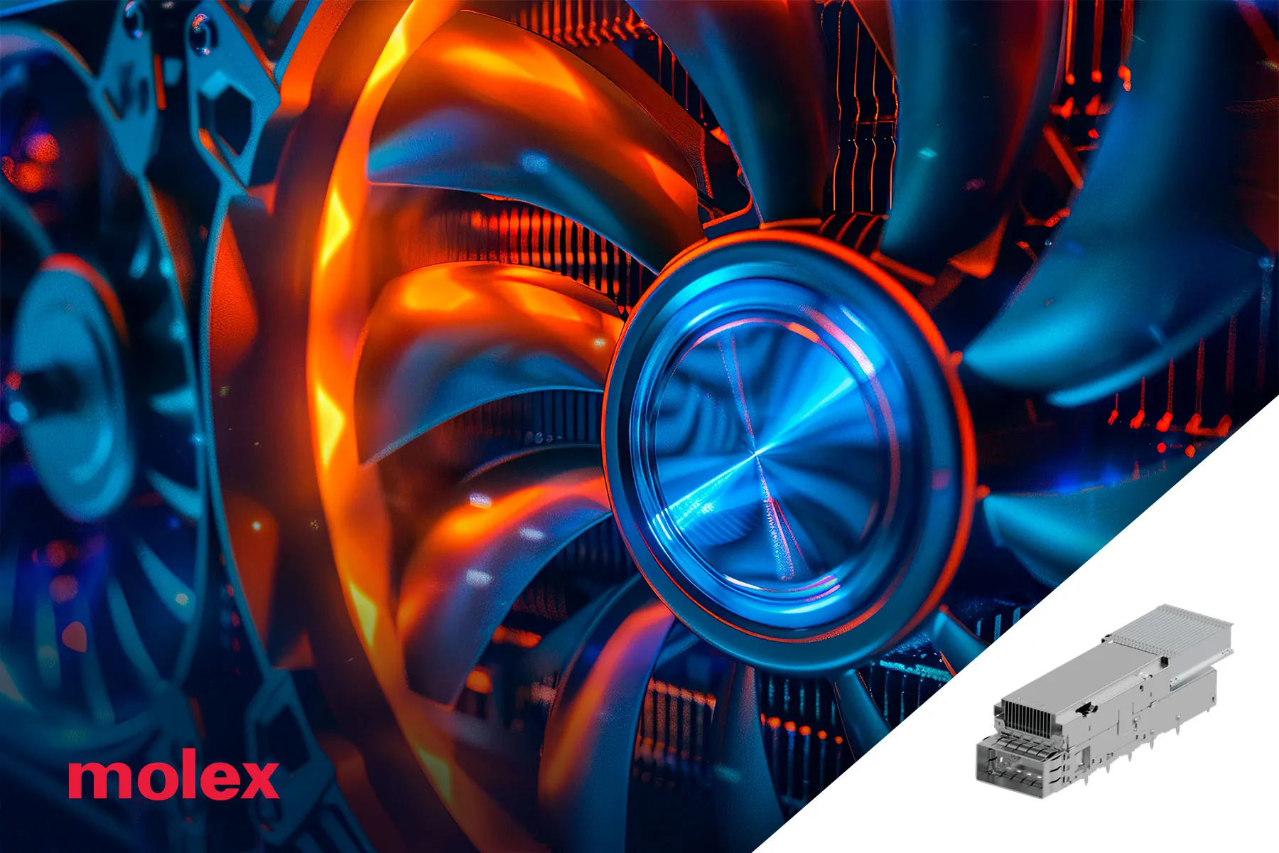 molex-14jun2024