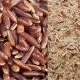 Red Brown Rice