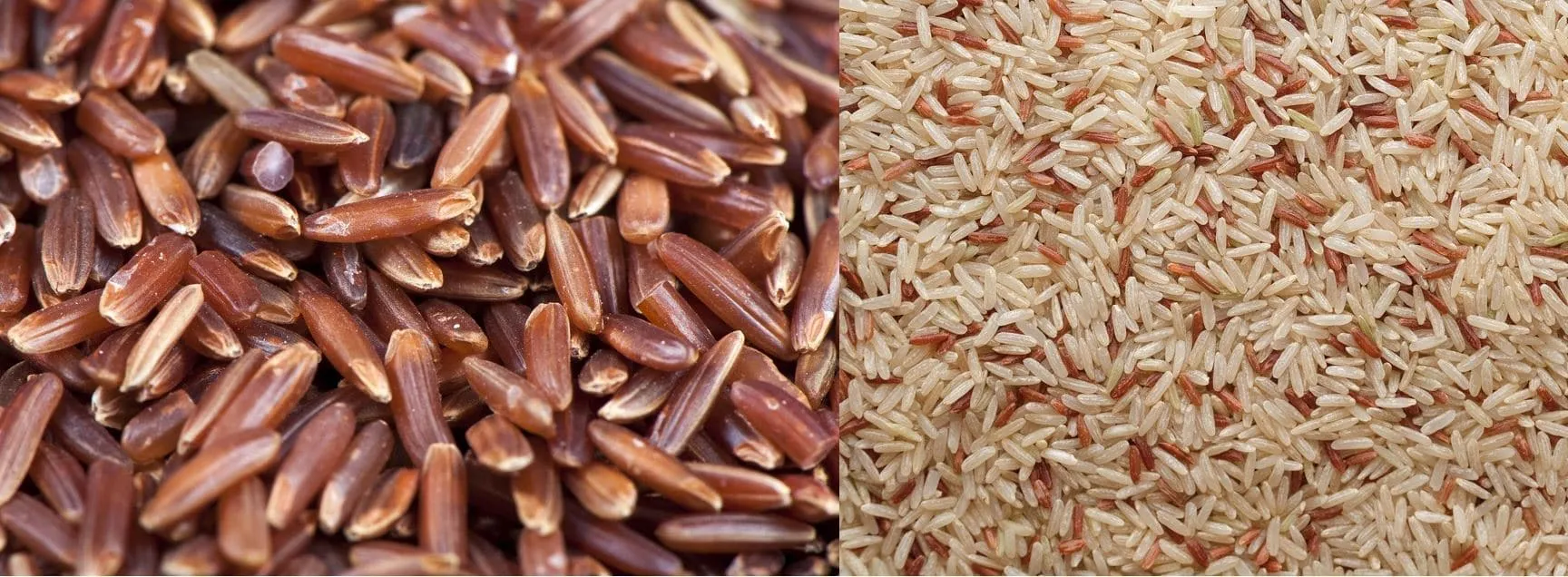 red brown-rice