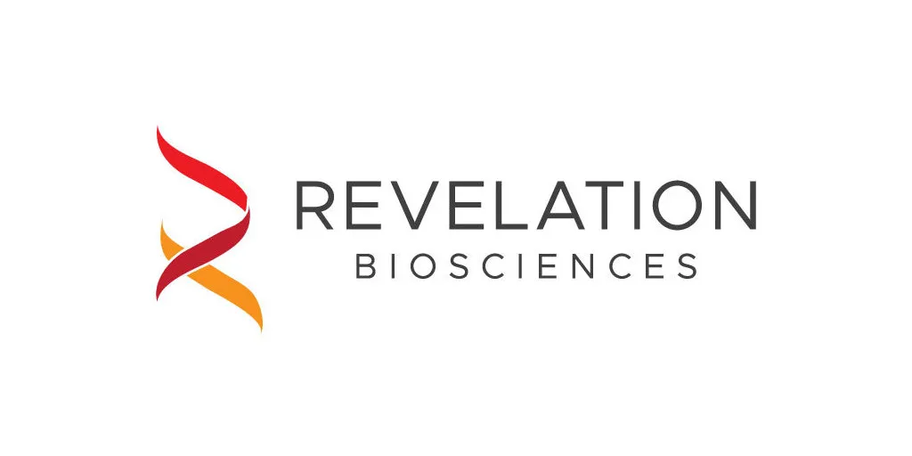 revelation