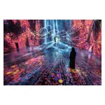 teamLab_Borderless_Jeddah_Highlight_video-1
