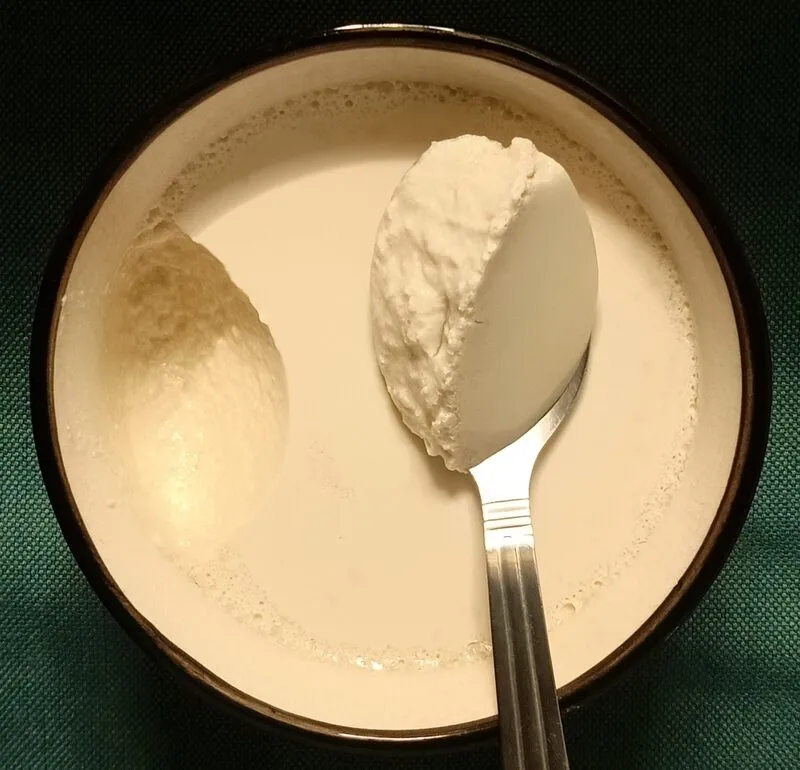 Homemade Curd