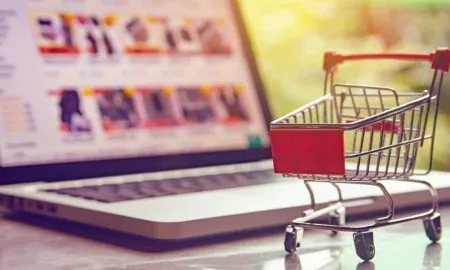 Online Shopping Platforms