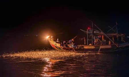 Sulfuric Fire Fishing A Fishing 