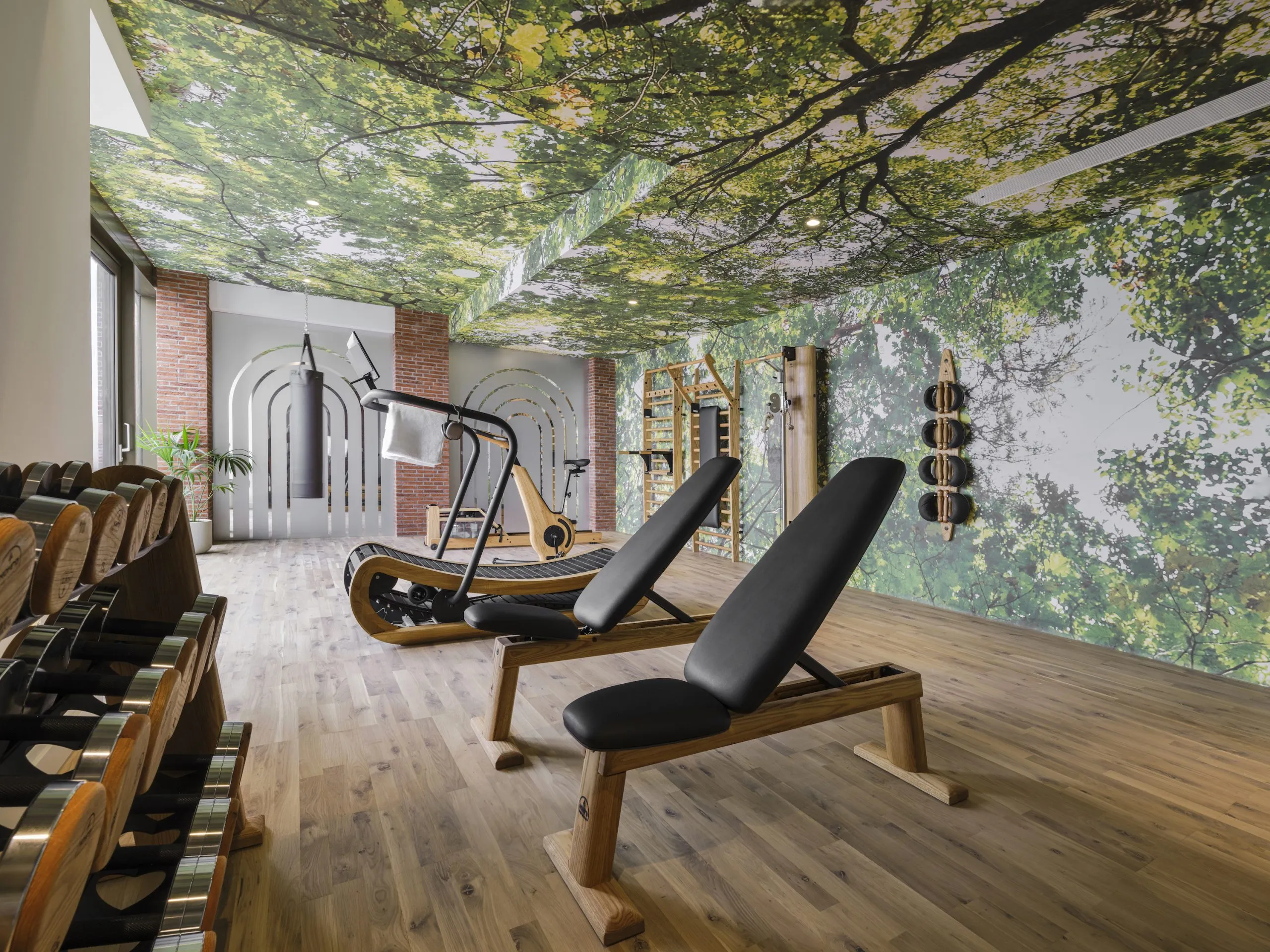 The-Arc-gym