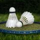 Badminton