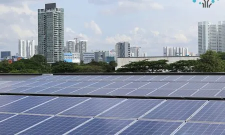 PMCE Solar Panels