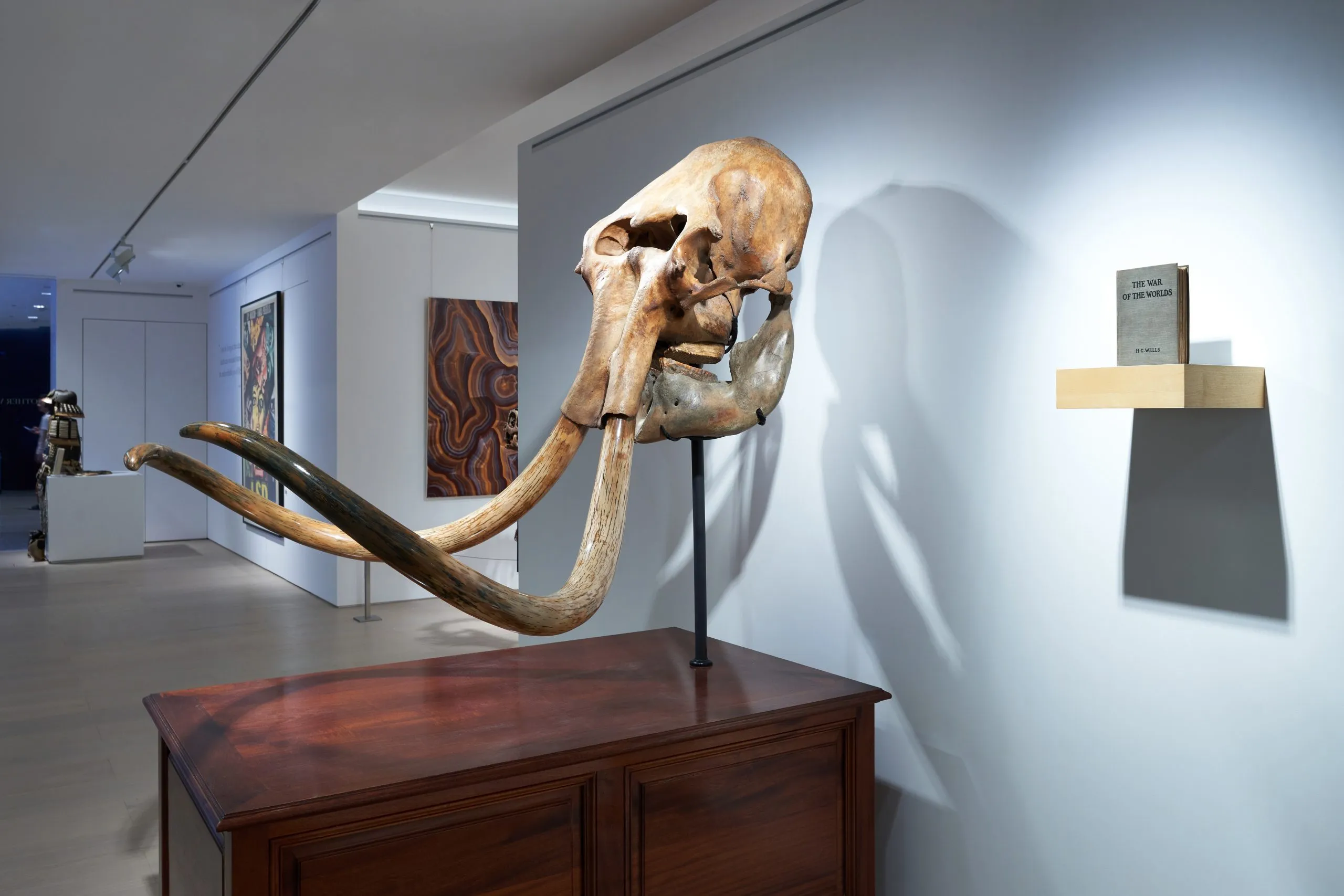 Prehistoric-woolly-mammoth-skull