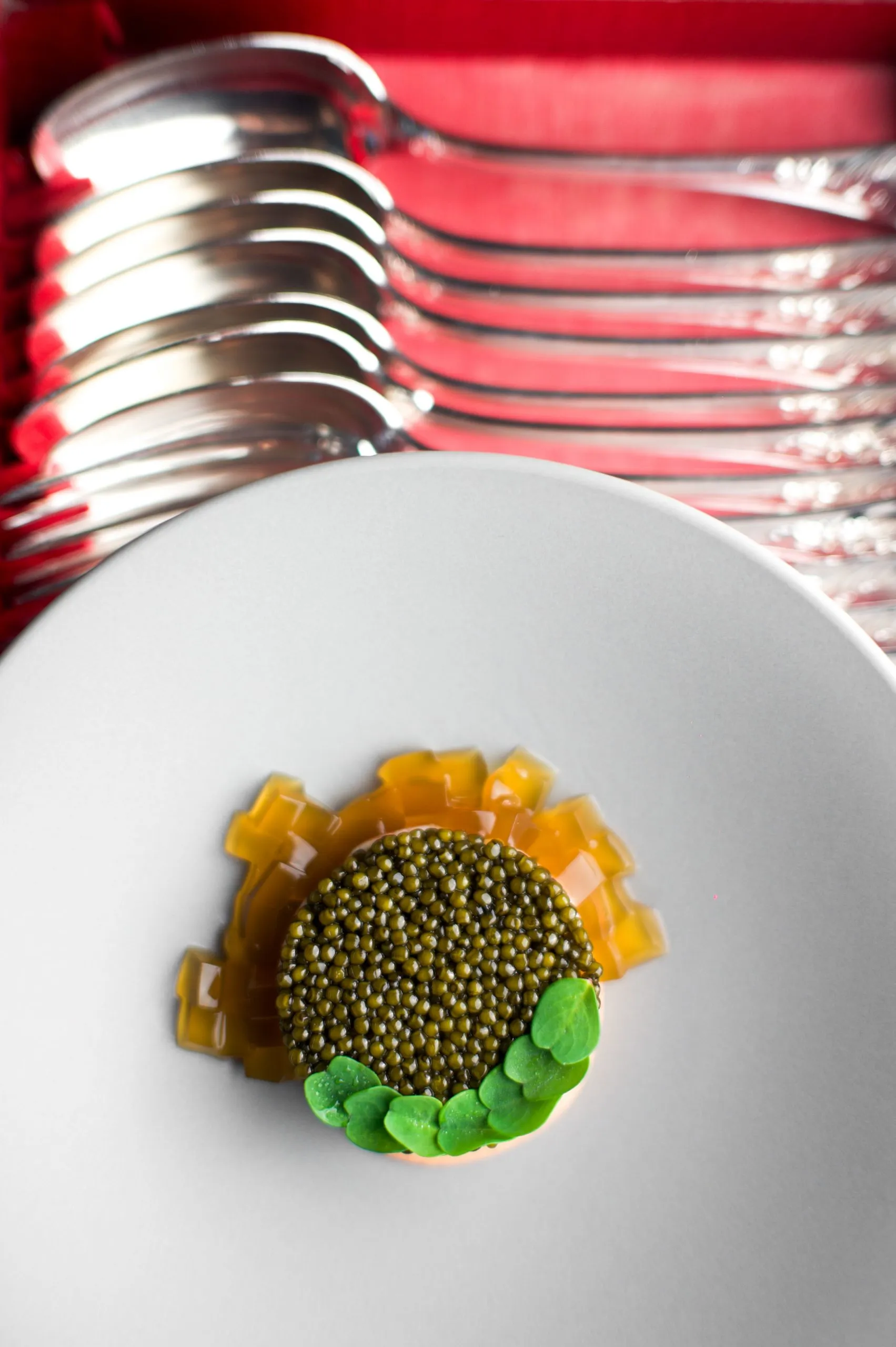 Chilled-langoustine-delicate-gel
