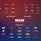 MSM Brand Logo