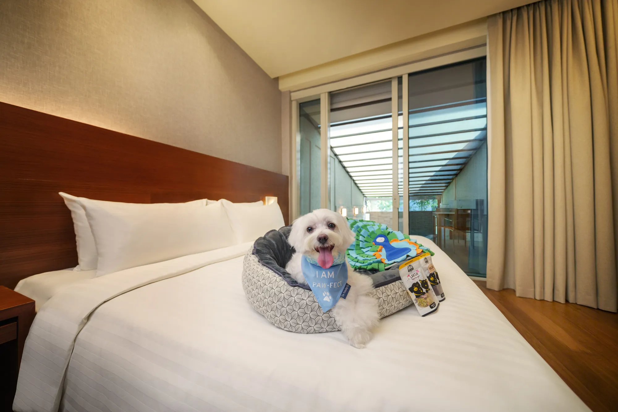 Oasia-Resort-Sentosa-Guest-Rooms-1