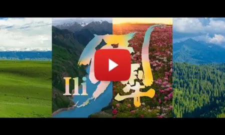 PressReleaseTMPyehIqH