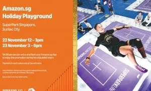 Amazon Sg Holiday Playground 