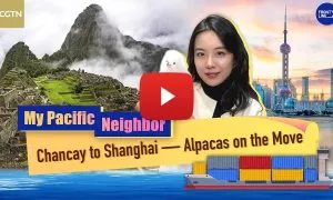 PressReleaseTMPK71PKA