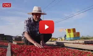 PressReleaseTMPh5zKiv