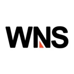 WNShighres-1