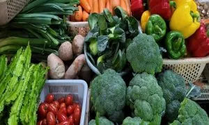 242868d4 5420 4d30 B70c 824fcaae