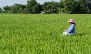 1st Priority DSC00540