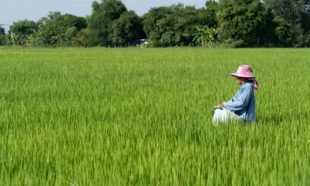 1st Priority DSC00540