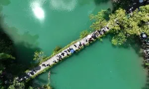 20250627 Guizhou S Fruit Image 1