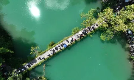 20250627 Guizhou S Fruit Image 1