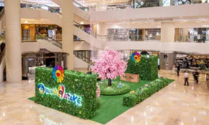 Pacific Place Field Of Flowers T
