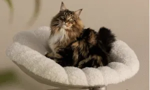 Screenshot 2025 08 22 At 4 28 14