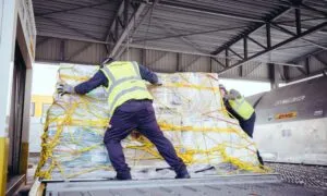 87f852f9 4478 471c 9603 30247e40