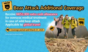 Bear Attack HeroBanners V1 1563x