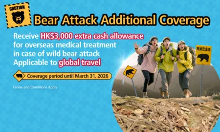 Bear Attack HeroBanners V1 1563x