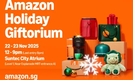 FAP 6627 3 AMA25BF Main KV 01pp