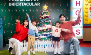 LDCHK 2025 Holiday Bricktacular 