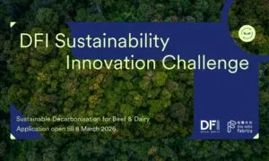 DFI Challenge KV Landing Banner