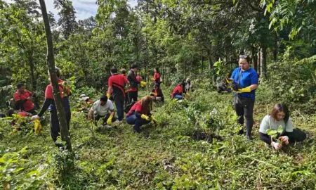 Jollibee Group Has Received An U