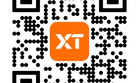 X NET White Paper Eng