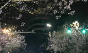 752851 Humanoid Robot Jpg 1600x2 1