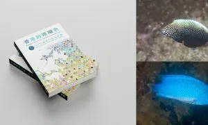 Reef Fish Book Cover Photo