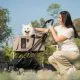 Fikago Blending Pet Stroller Wit
