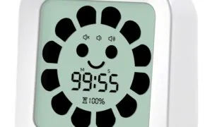 61ofW6OkmIL. SL1500