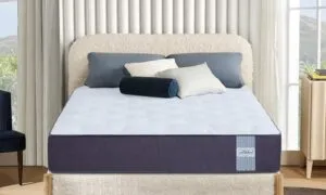 71U47b875L. SL1500 