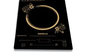 5121ius61HL. SL1000