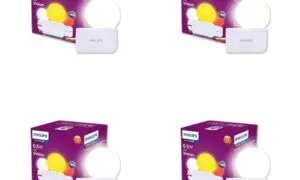 51hLYssO2tL. SL1080 
