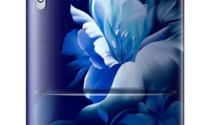 61R0h3JIivL. SL1500